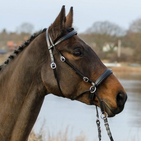 Globus bit less bridles winnetou