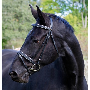 Globus Scandic Bridles