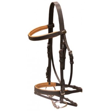 Globus Scandic Bridles 2
