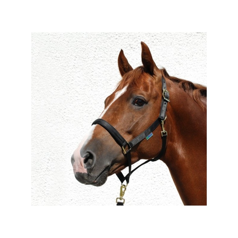 Bucas Dublin Halter