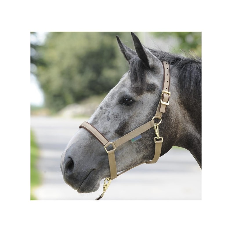 Bucas Dublin Halter