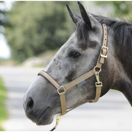 Bucas Dublin Halter