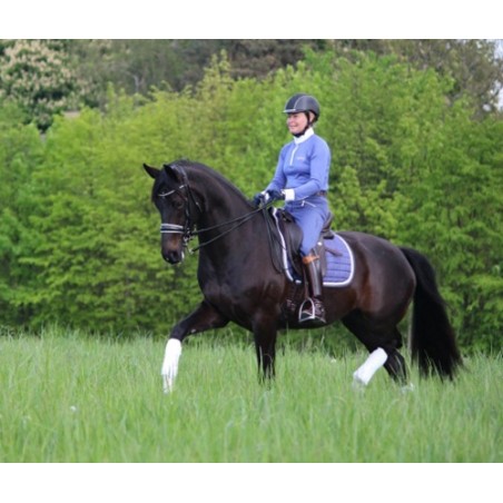 Bates Innova Mono+ Koulusatula