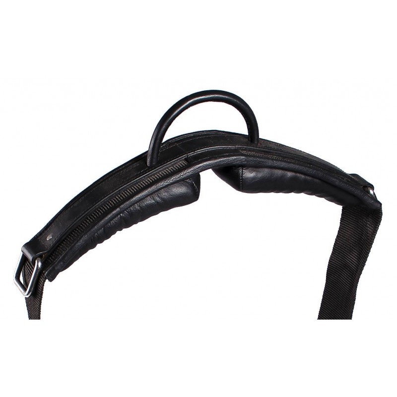 Globus Munin Bareback Roller