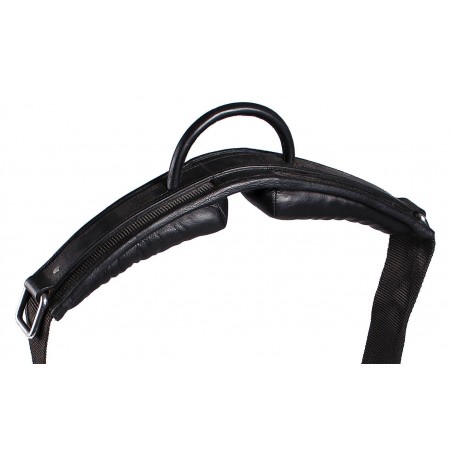 Globus Munin ratsastusvyö