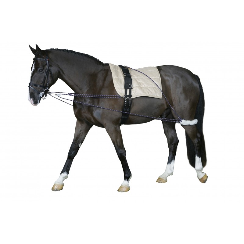 Waldhasuen  Juoksutusysteemi