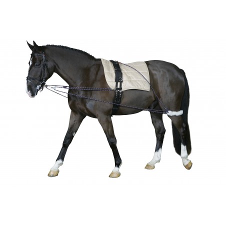 Waldhasuen  Juoksutusysteemi