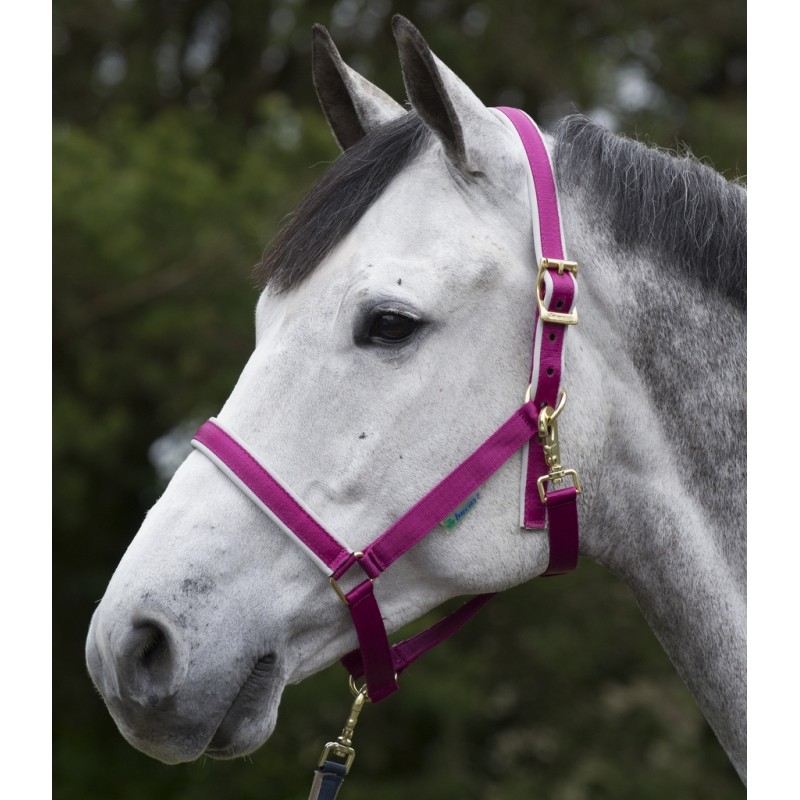 Bucas Dublin Halter