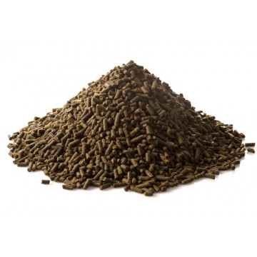 St. Hippolyt Equigard 2