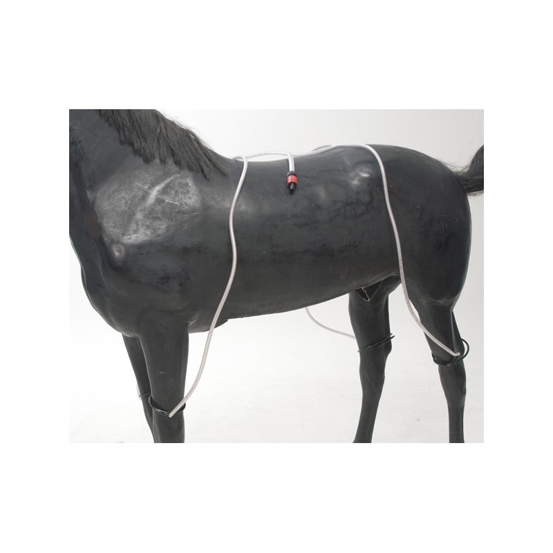 Water tubes for four legs