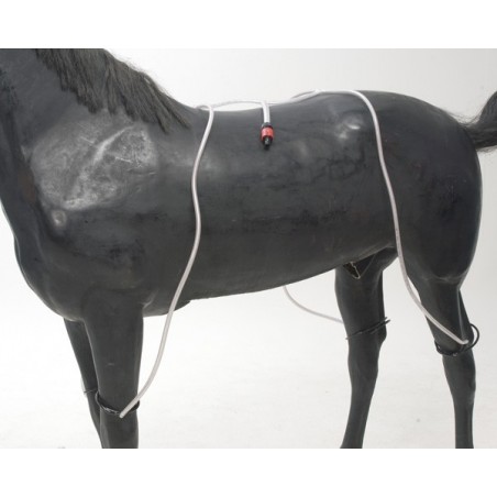 Water tubes for four legs