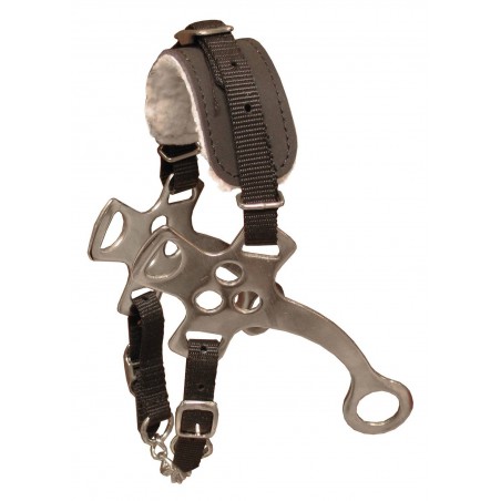 Hackamore