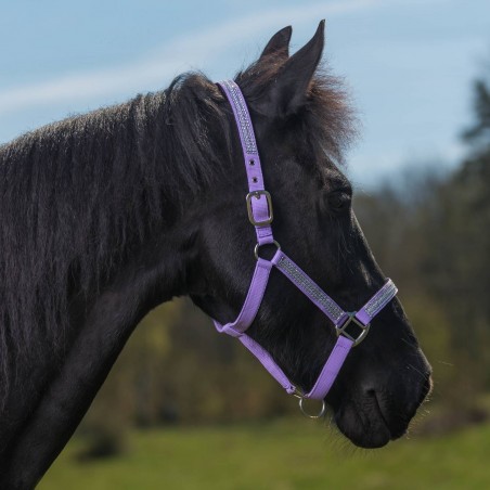 Globus Romana Headcollar