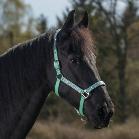 Globus Romana Headcollar