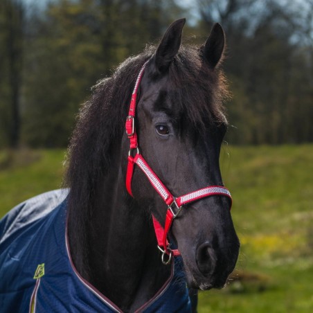 Globus Romana Headcollar