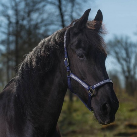 Globus Romana Headcollar