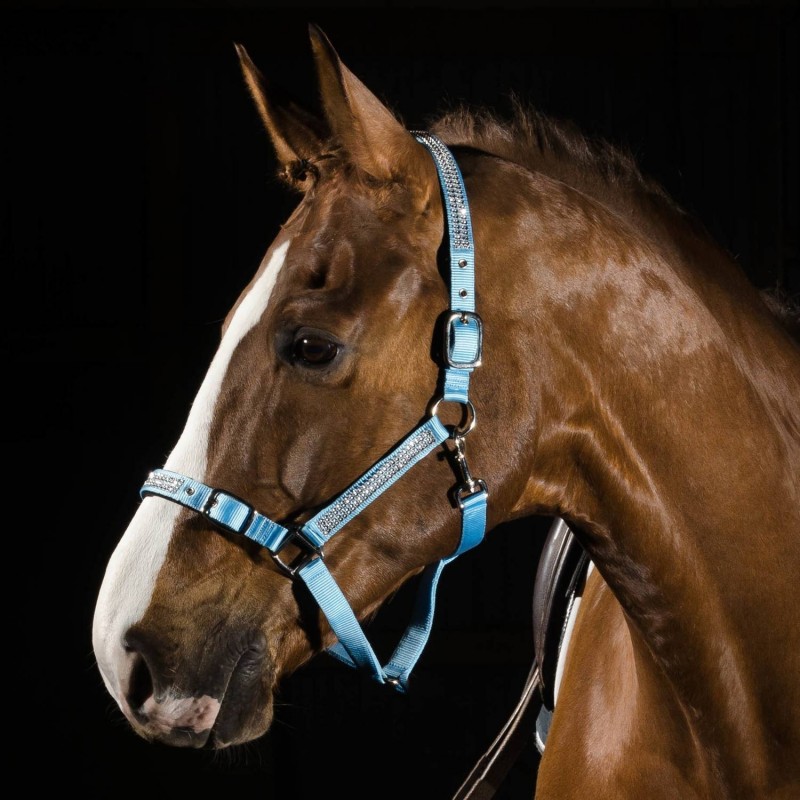 Globus Suomi Headcollar