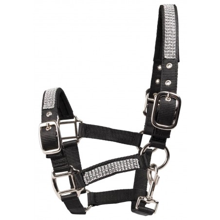 Globus Suomi Headcollar