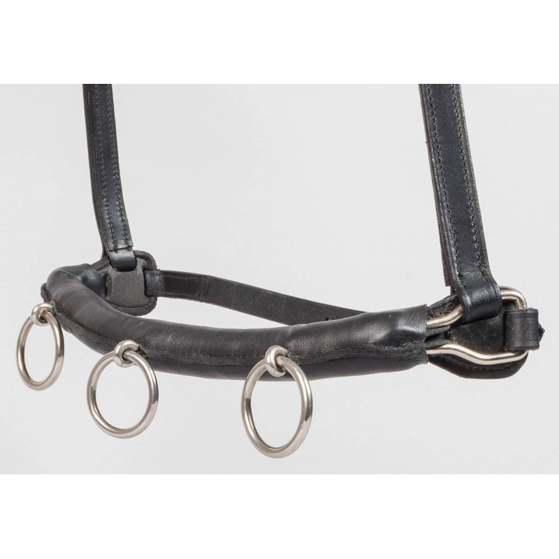 Globus Cavesson leather