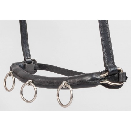Globus Cavesson leather