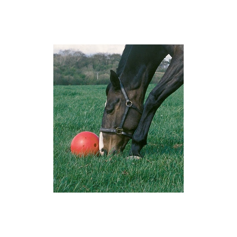 Likit Snack-A-Ball