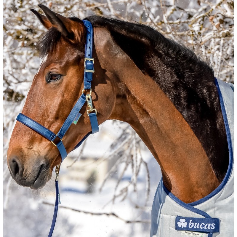 Bucas Dublin Halter