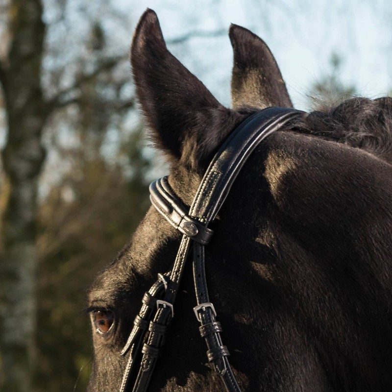 Globus SuperSoft Suitset