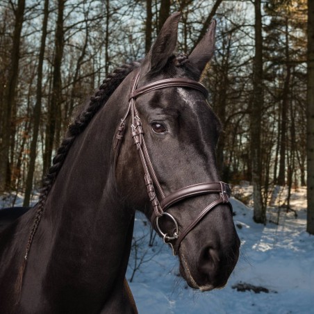 Globus SuperSoft Suitset