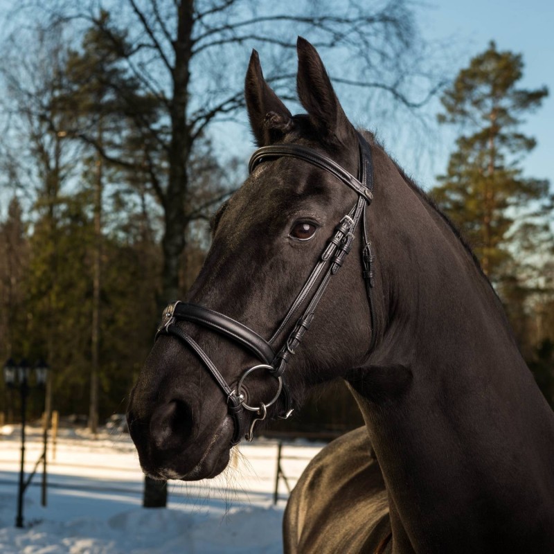 Globus SuperSoft Suitset