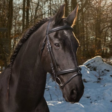 Globus SuperSoft Suitset