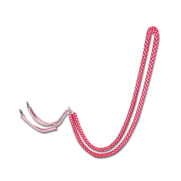 Waldhausen Lunging Aid 2