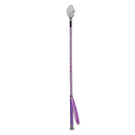 Kids Whip 65 cm