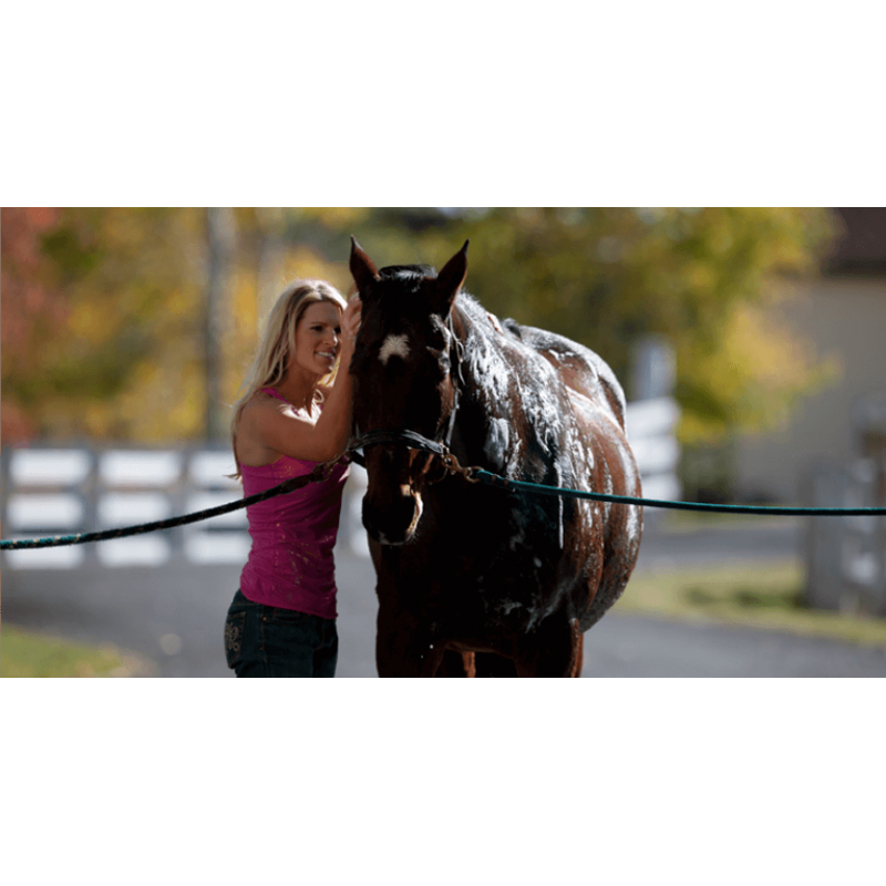 Farnam Vetrolin Bath shampoo for horses 946 ml