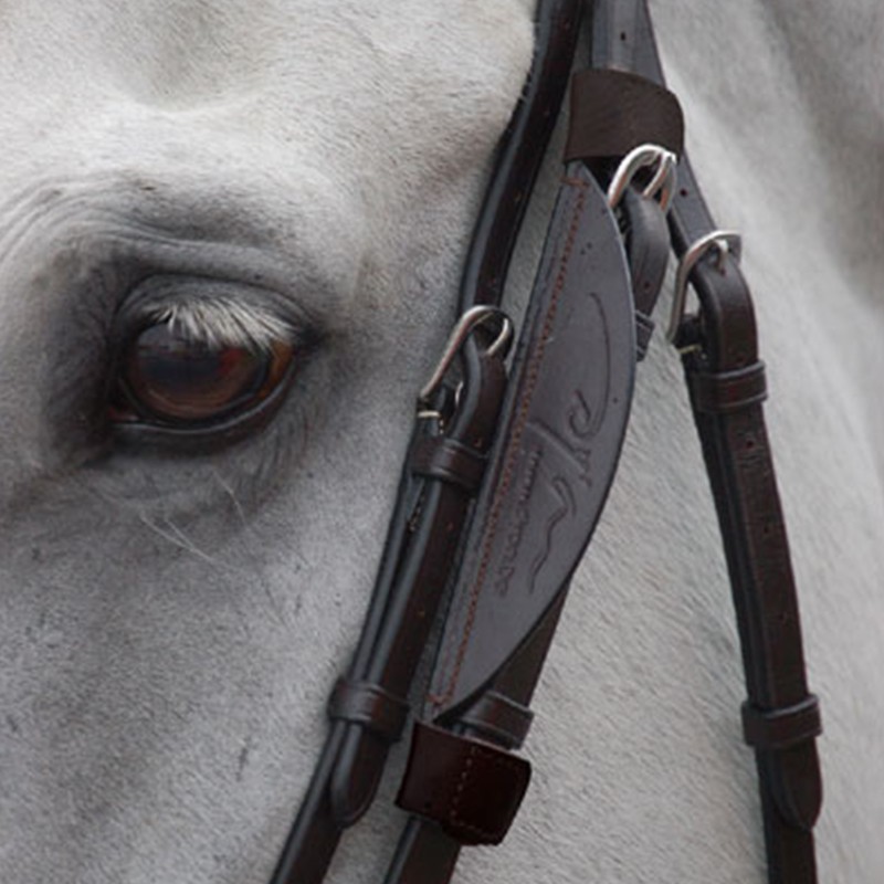 Dyon Blinkers