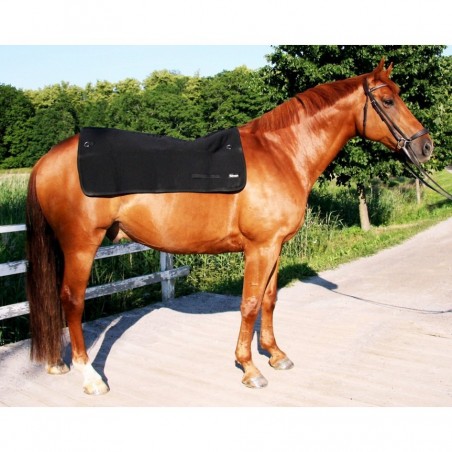 Back on Track Royal  Horseback Warmer 100x120 cm