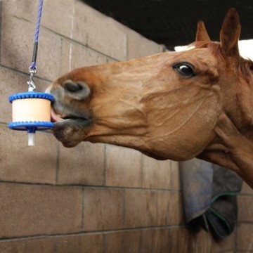 Likit teline ilman täytettä 2