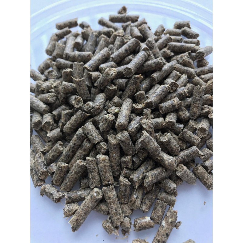 Sankari -täysrehu 20 kg