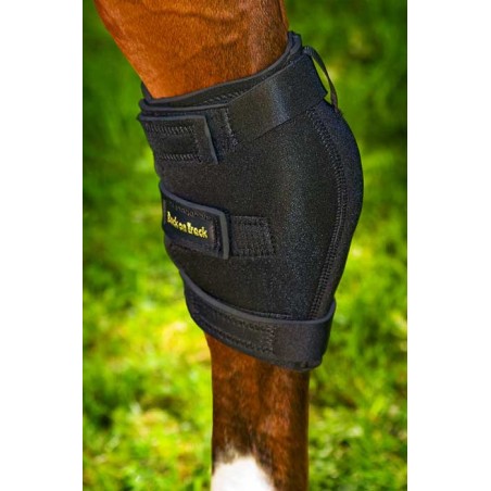 Back on Track Hock Boot