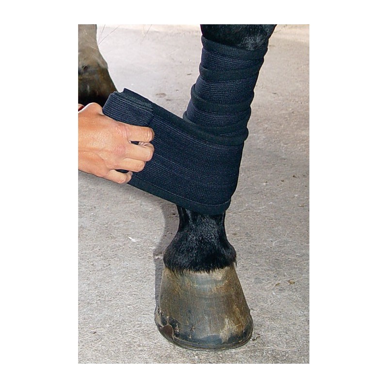 Back on Track bandages