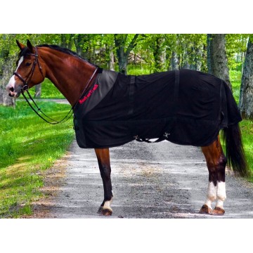 Back on Track verkkoloimi 2