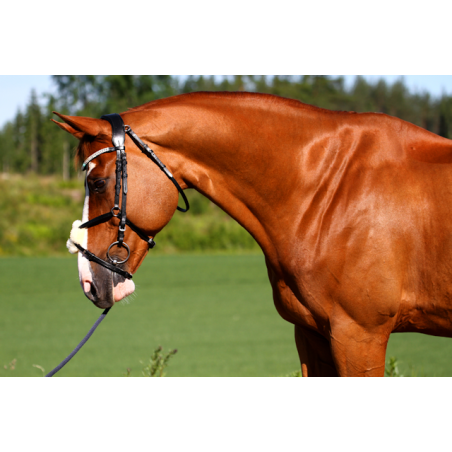 W-Profile Anatomiset suitset