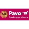 Pavo